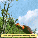 Automated Wireless Garden Pruner