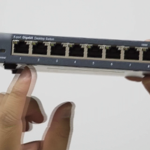 8-Port Gigabit Ethernet Splitter