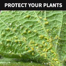 6-inch Mesh Bug Screen Shield