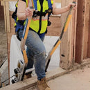 Walk-Through Ladder Extension