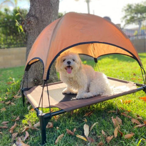 Outdoor Pet Cot Canopy