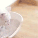 Waterproof Cat Litter Mat