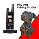 Easy Dog Training E-Collar