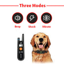 Easy Dog Training E-Collar
