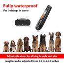 Easy Dog Training E-Collar