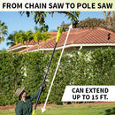 2-in-1 Electric Chain Saw & Pole Saw
