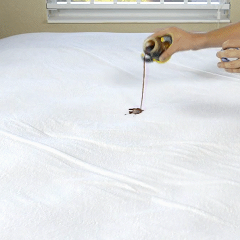 Queen Size Mattress Waterproof Protector Cover