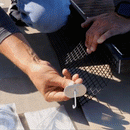 Solar Panel Mesh Critter Guard Kit