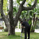 12.5 Ft. Aluminum Telescopic Ladder