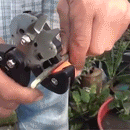 Garden Grafting Tool
