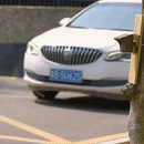 Long Range Driveway Alarm System