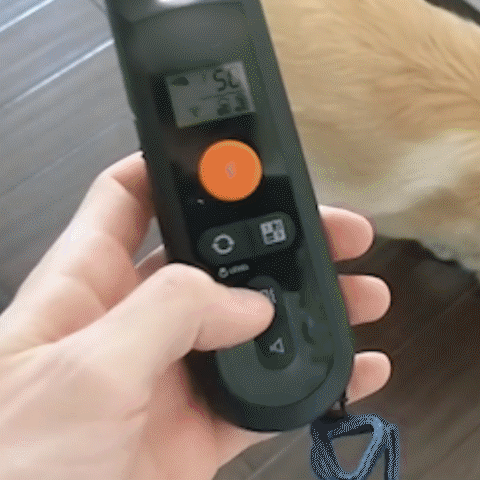 Easy Dog Training E-Collar