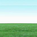 Golf Shoes Cleats Replacement Kit