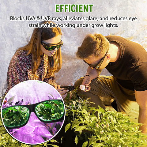 Efficient Grow Room Glasses