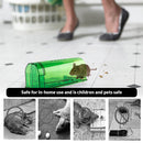 Humane Mouse Trap