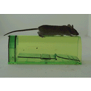 Humane Mouse Trap