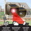 Long Range Driveway Alarm System