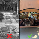 Outdoor Pet Cot Canopy