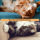 Pet Hair and Lint Remover