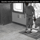 Quick-Absorb Pet Rug