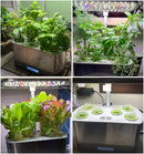Smart Indoor Garden
