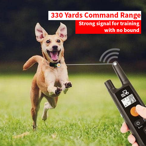 Easy Dog Training E-Collar