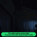 Solar-Powered Motion Sensor LED Light